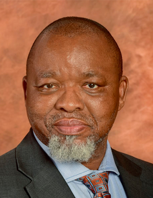 Gwede Mantashe, Minister of Petroleum Resources, South Africa