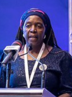 Hon. Magna Mudyiwa, Deputy Minister of Energy and Power Development, Zimbabwe