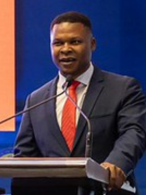 NJ Ayuk, Executive Chairman, African Energy Chamber